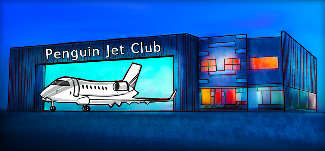Volar en Jet Privado, la oferta de empresa salvadoreña que negocia en NFT volar-en-jet-privado-la-oferta-de-empresa-salvadorena-que-negocia-en-nft